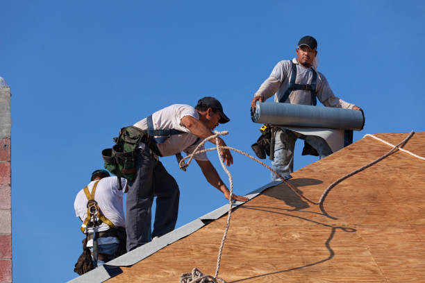Best Residential Roofing Contractor  in Emmon, AK