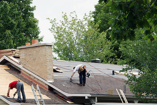 Best Roof Restoration Services  in Emmon, AK