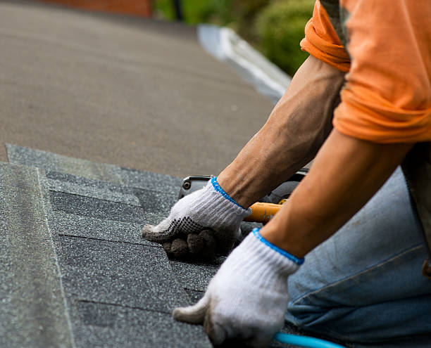 Best Roof Gutter Cleaning  in Emmon, AK