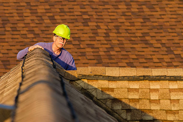 Best Roof Repair Services  in Emmon, AK
