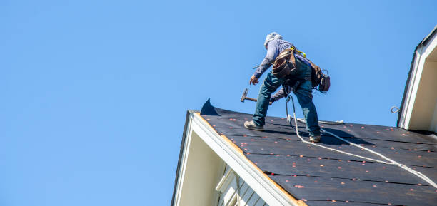 Best Storm Damage Roof Repair  in Emmon, AK
